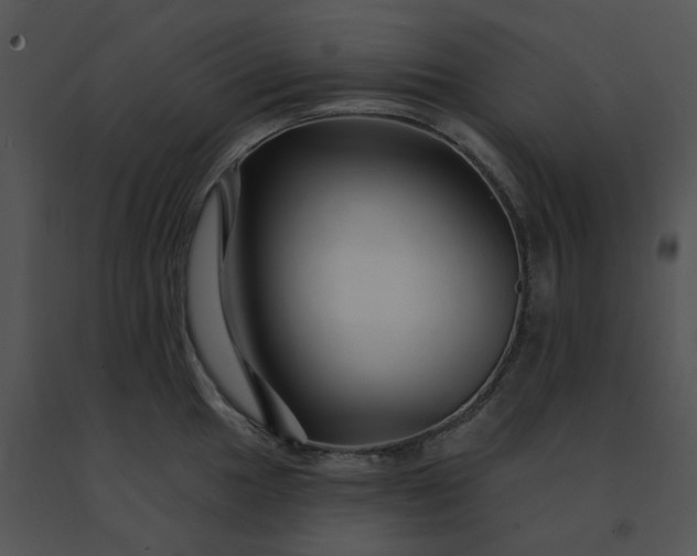 X0000091531049200708311306