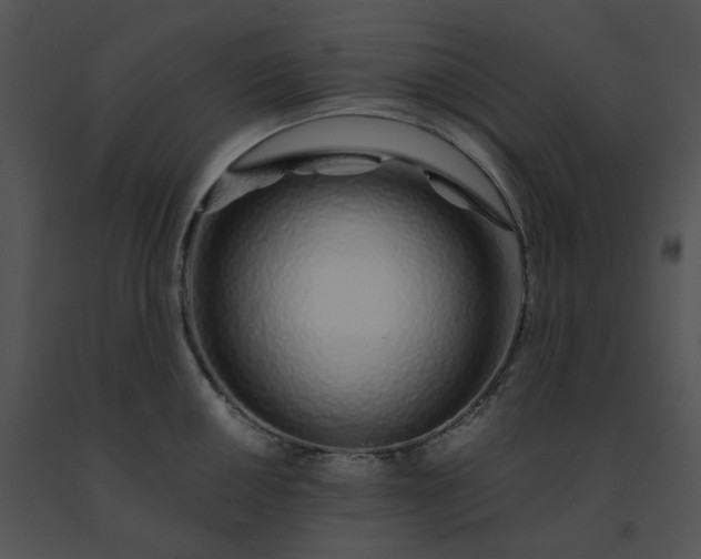 X0000091531050200708311306