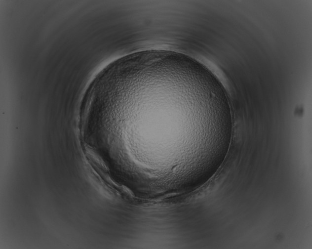 X0000091531051200708311306
