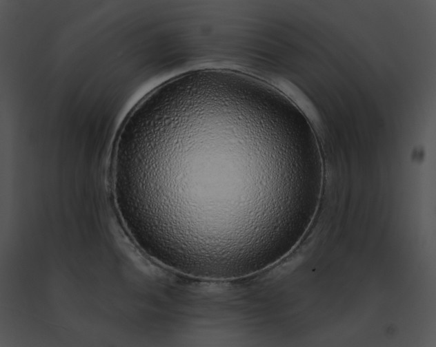 X0000091531052200708311306