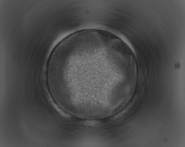 X0000091531053200708311306