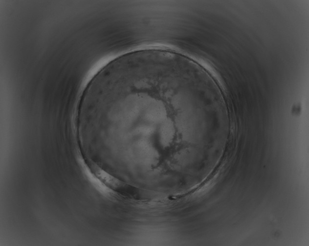 X0000091531054200708311306