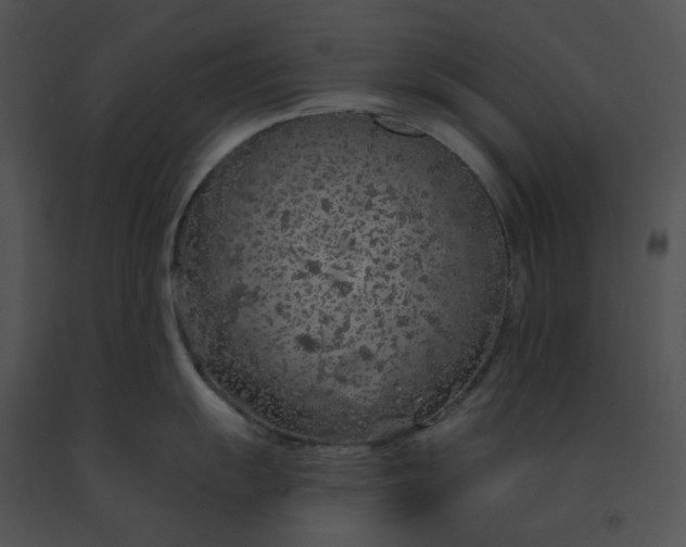 X0000091531055200708311306