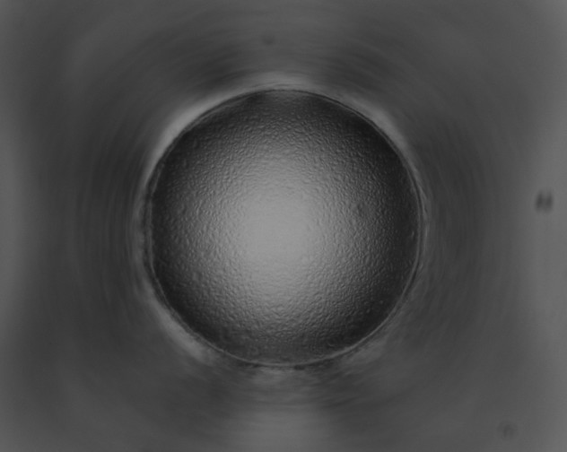 X0000091531056200708311306