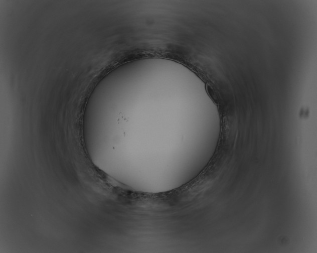X0000091531057200708311306