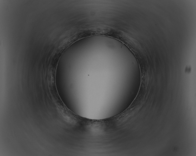 X0000091531058200708311306
