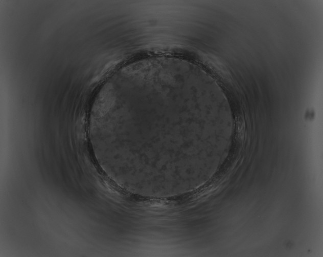 X0000091531060200708311306