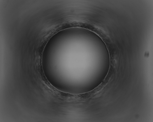 X0000091531061200708311306