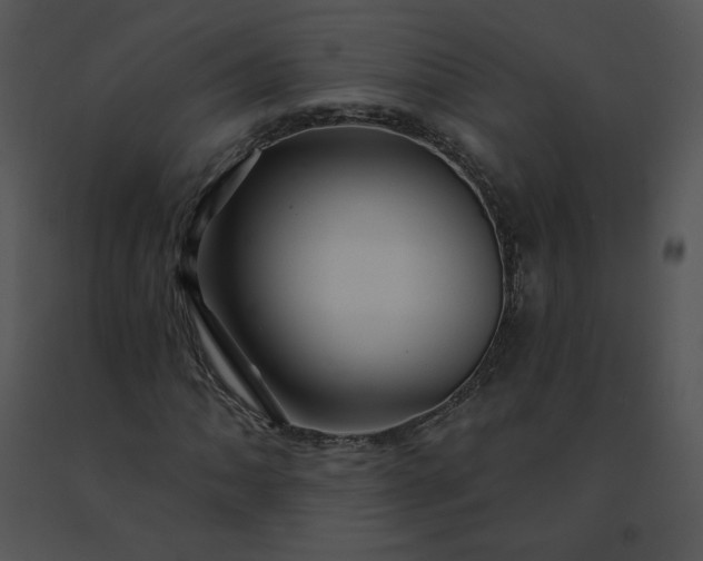 X0000091531062200708311306