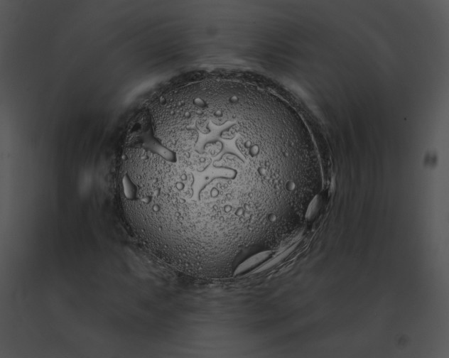 X0000091531063200708311306