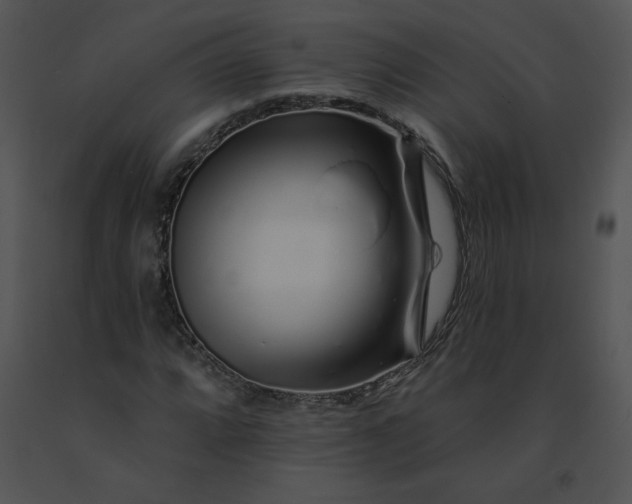 X0000091531064200708311306