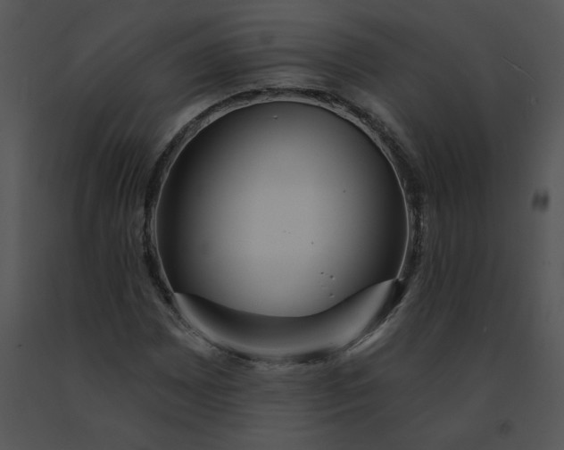 X0000091531065200708311306