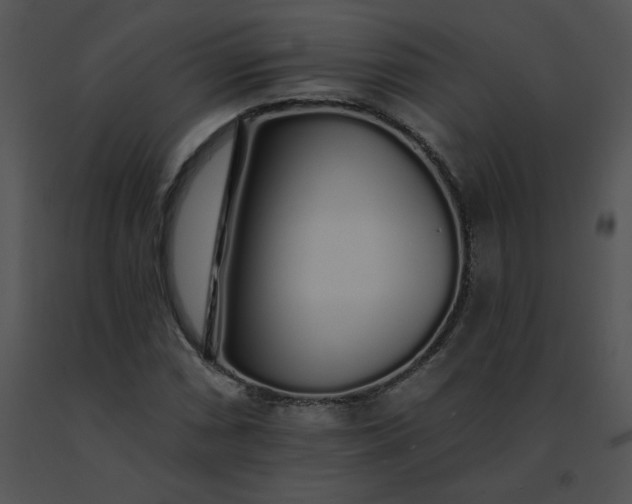 X0000091531066200708311306