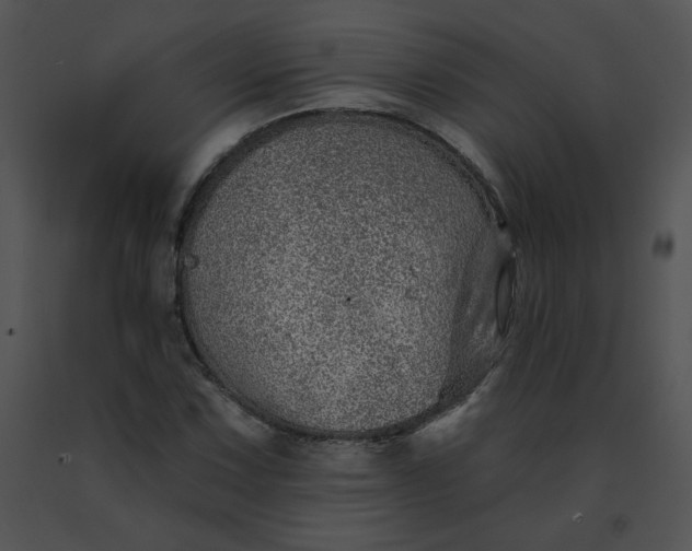 X0000091531067200708311306