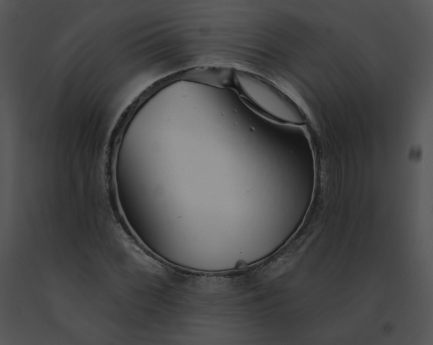 X0000091531068200708311306