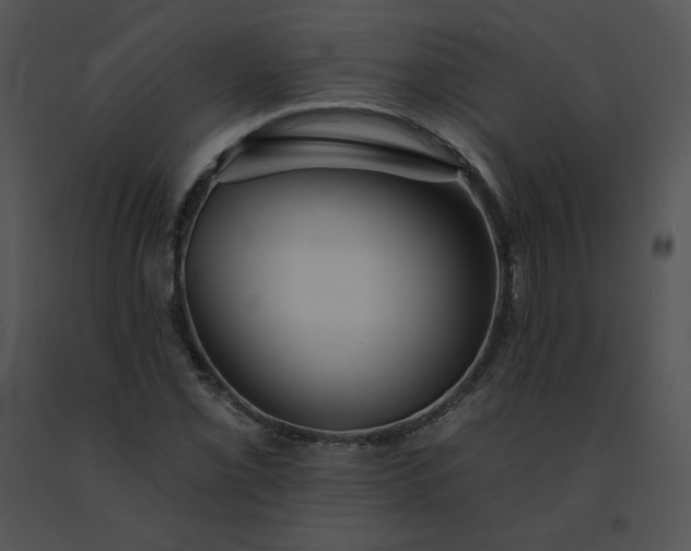 X0000091531069200708311306