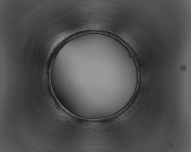 X0000091531070200708311306