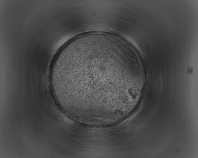 X0000091531071200708311306