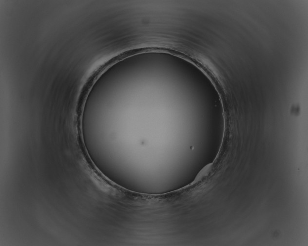 X0000091531072200708311306