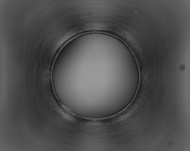 X0000091531073200708311306