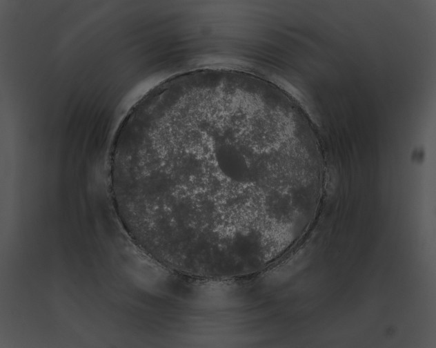 X0000091531074200708311306