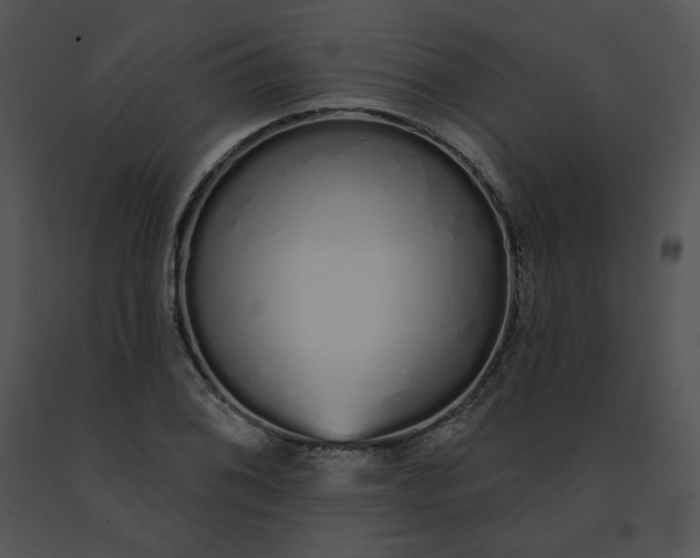 X0000091531076200708311306