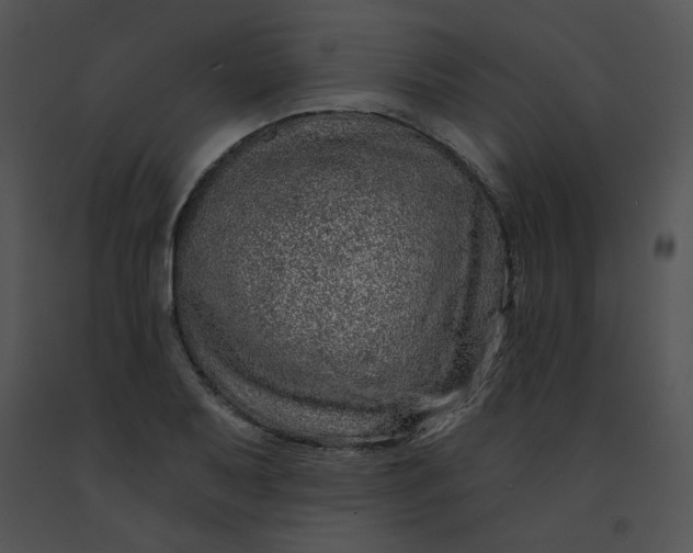 X0000091531079200708311306