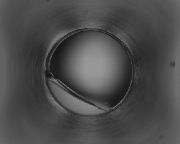 X0000091531080200708311306