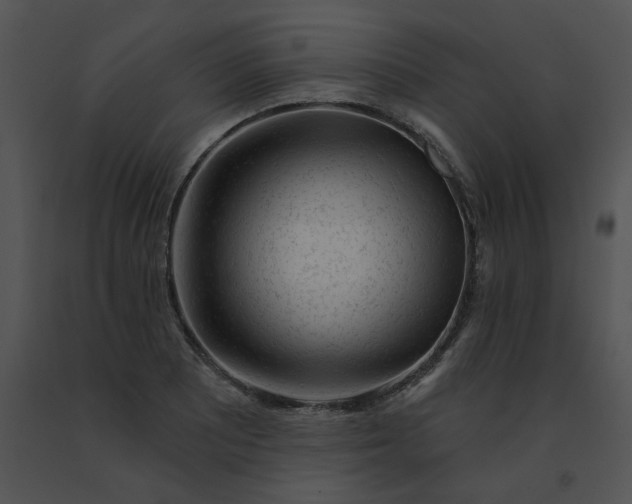 X0000091531081200708311306