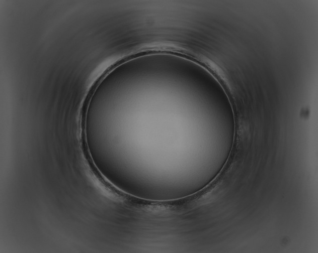 X0000091531082200708311306