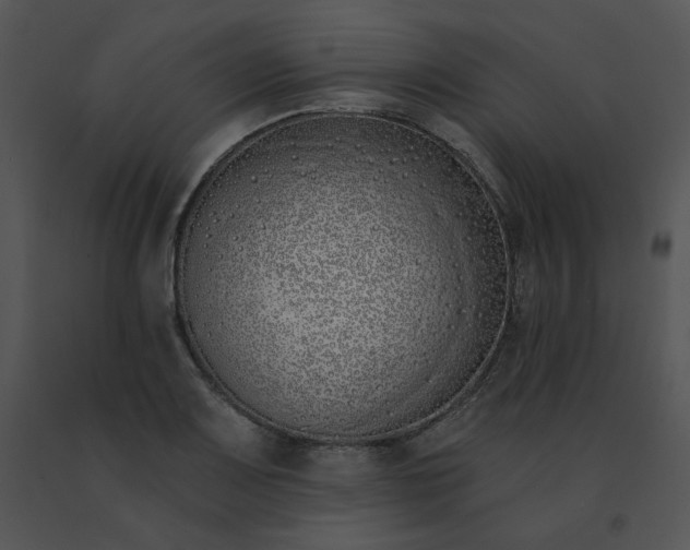 X0000091531083200708311306