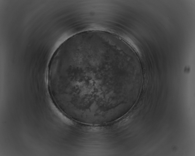 X0000091531084200708311305