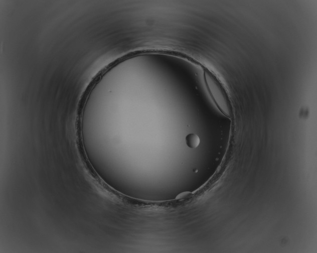 X0000091531085200708311305