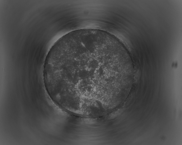 X0000091531086200708311305