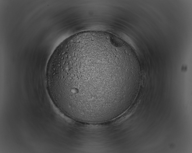 X0000091531087200708311305