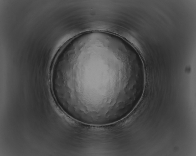 X0000091531088200708311305