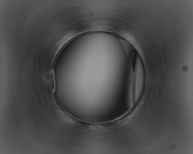 X0000091531089200708311305