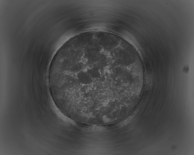 X0000091531090200708311305