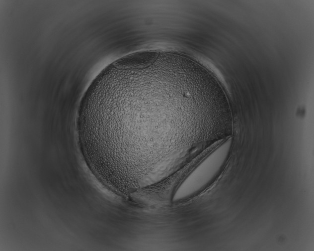 X0000091531091200708311305