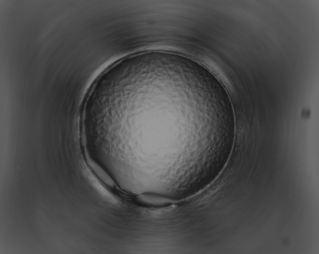 X0000091531092200708311305