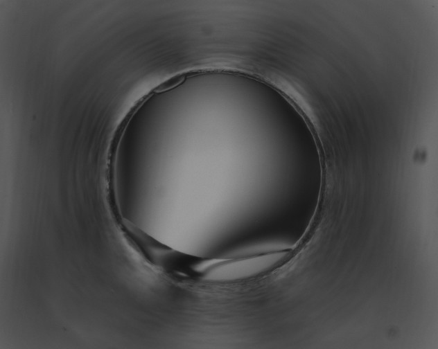 X0000091531093200708311305
