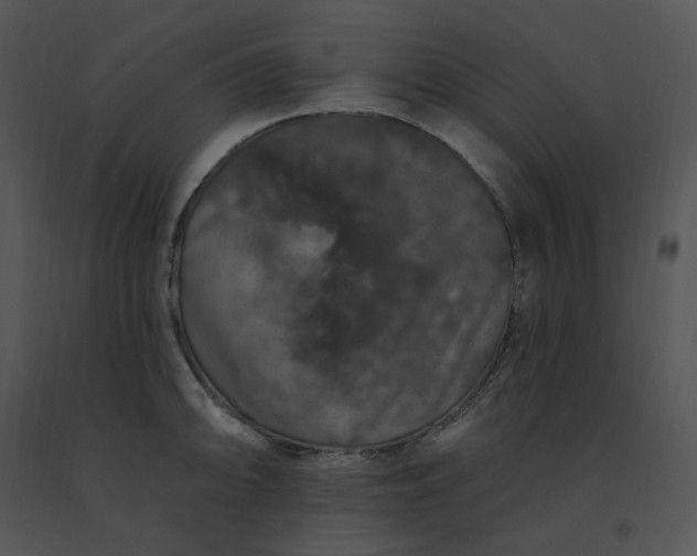 X0000091531094200708311305