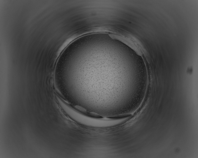X0000091531097200708311305