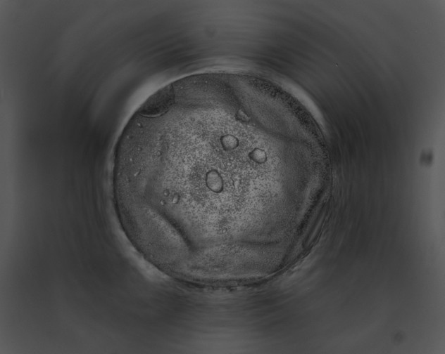 X0000091531099200708311305