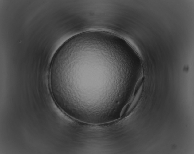X0000091531100200708311305