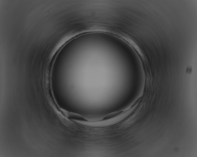 X0000091531101200708311305