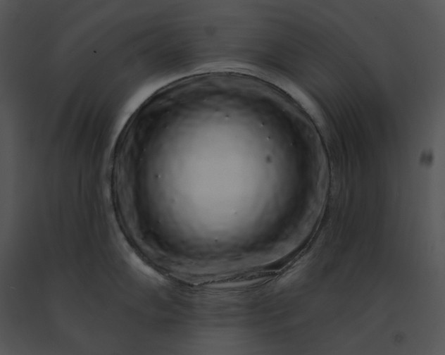 X0000091531102200708311305