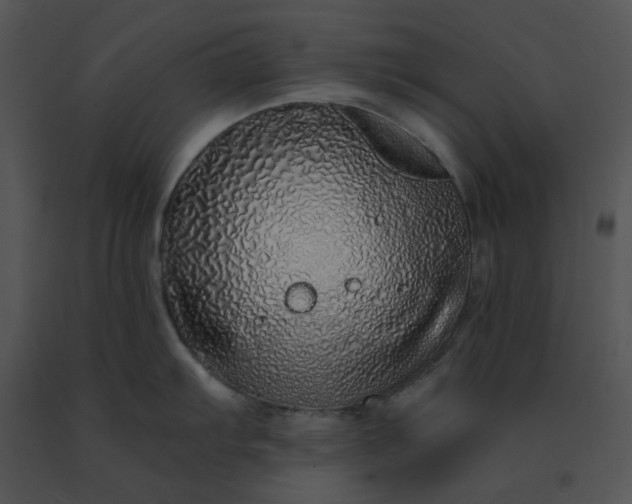 X0000091531103200708311305
