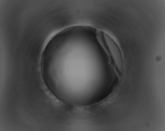 X0000091531104200708311305