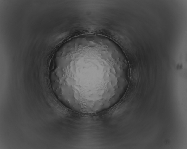 X0000091531105200708311304